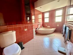 Braddell Heights Estate (D13), Semi-Detached #547807311